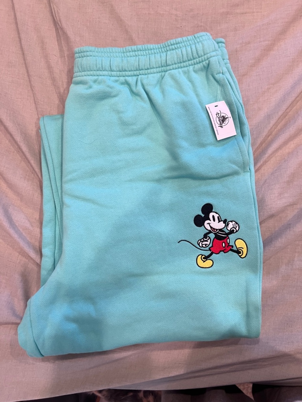 Disney Aqua Mickey Embroidered Joggers